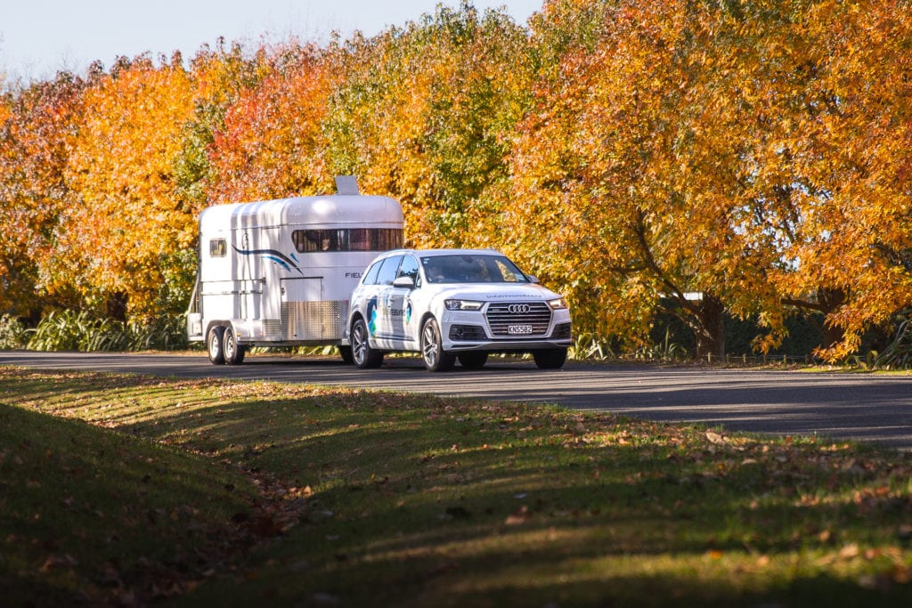 Car pulling trailer for pet collection service