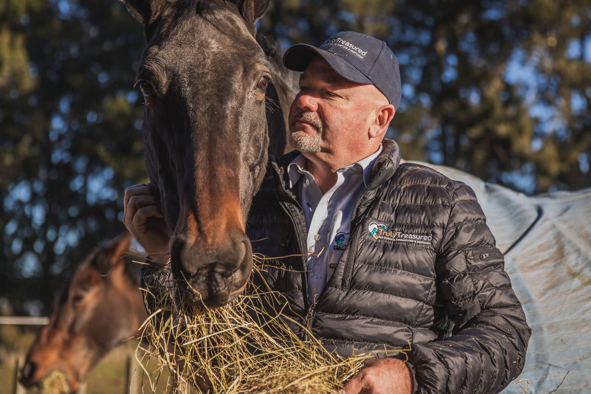 Large Animal & Horse Cremation NZ Horse Burials Horse Urns