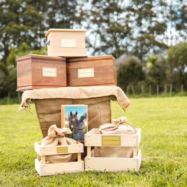 truly-treasured-pet-cremations-new-zealand-servces-3